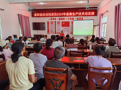 科技特派员深入宾阳一线，精准服务赋能蚕业振兴